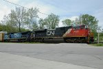 CN 8020